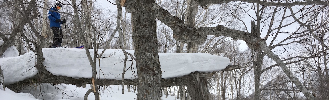 Skifahrer auf umgeknickten Baumstamm