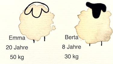 Zeichnung zweier Schafe