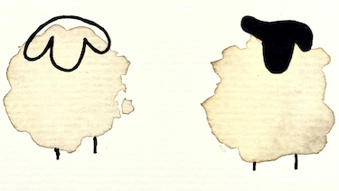 Zeichnung zweier unterschiedlicher Schafe