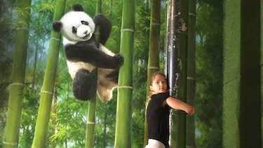 scheinbar klettert Schülerin neben Pandabär